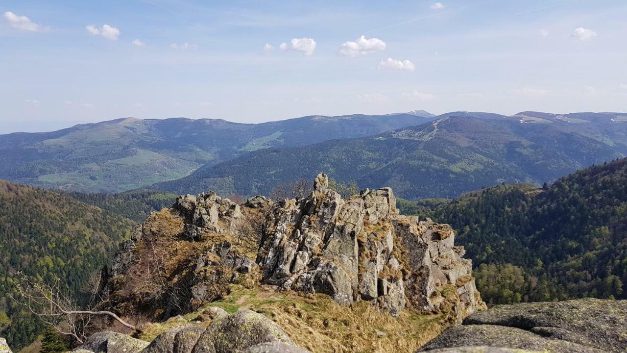 Les Dryades Gérardmer Exterior foto